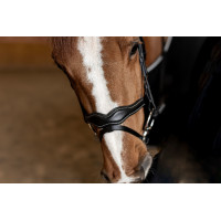 Bridon Combiné Wavy HFI Master Noir Bridon Combiné Wavy HFI Master Noir