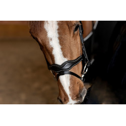 Bridon Combiné Wavy HFI Master Noir