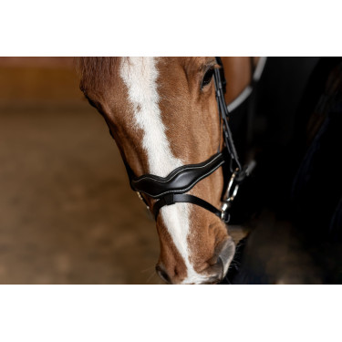 Bridon Combiné Wavy HFI Master Bridon Combiné Wavy HFI Master