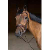 Bridon Combiné Wavy HFI Master Marron