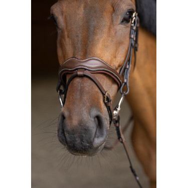 Bridon Combiné Wavy HFI Master Marron Bridon Combiné Wavy HFI Master Marron