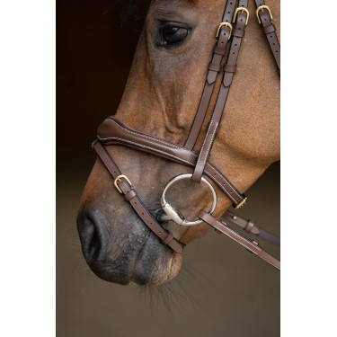 Bridon Combiné Wavy HFI Master Marron Bridon Combiné Wavy HFI Master Marron