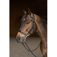 Bridon Hackamore HFI Master Noir