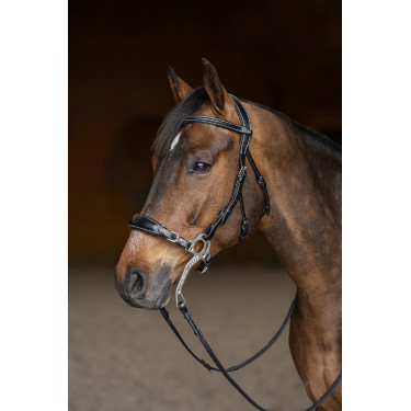 Bridon Hackamore HFI Master Bridon Hackamore HFI Master