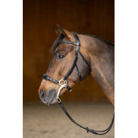 Bridon Hackamore HFI Master Noir Bridon Hackamore HFI Master Noir