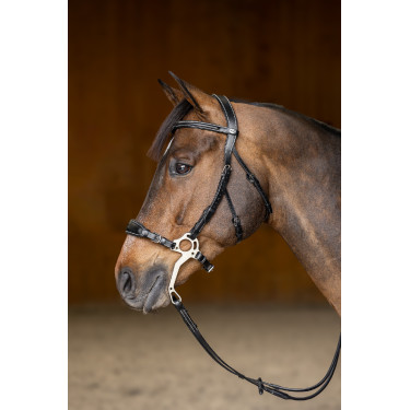 Bridon Hackamore HFI Master Bridon Hackamore HFI Master