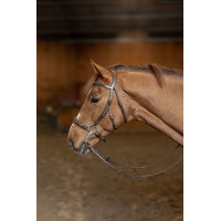 Bridon Hackamore HFI Master Marron