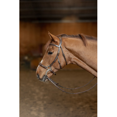 Bridon Hackamore HFI Master Bridon Hackamore HFI Master