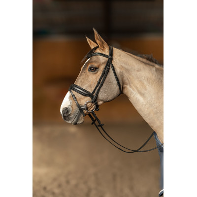 Bridon HFI Master pull-back Edges Noir