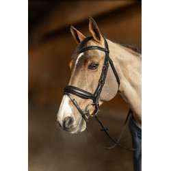 Bridon HFI Master pull-back Edges Noir