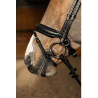 Bridon HFI Master pull-back Edges Noir Bridon HFI Master pull-back Edges Noir