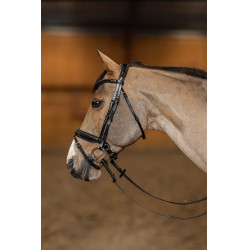 Bridon Pull-back Verona HFI Master Pro Line Noir / argent