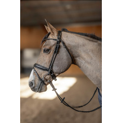 Bridon rond HFI Master Noir