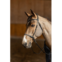 Bridon sans mors Freedom HFI Master Noir