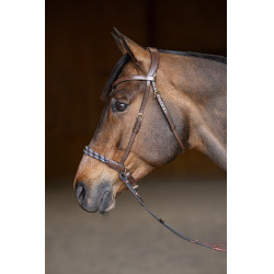 Bridon sans mors Freedom HFI Master Marron Bridon sans mors Freedom HFI Master Marron