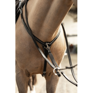 Collier de chasse Arezzo HFI Master Pro Line Collier de chasse Arezzo HFI Master Pro Line