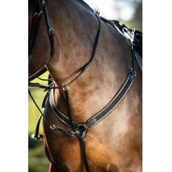 Collier de chasse élastique + martingale HFI Master Collier de chasse élastique + martingale HFI Master