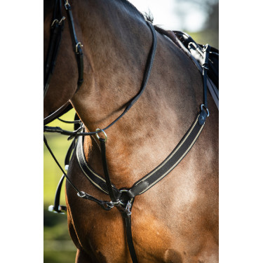 Collier de chasse élastique + martingale HFI Master Collier de chasse élastique + martingale HFI Master