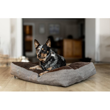 Coussin rectangulaire chien HFI Coussin rectangulaire chien HFI