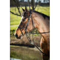 Gogue cuir HFI Master Noir