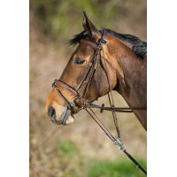 Gogue cuir HFI Master Noir