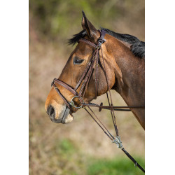 Gogue cuir HFI Master Marron