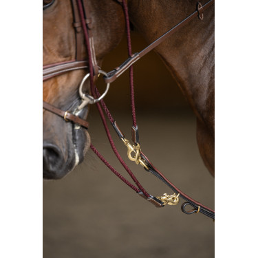 Gogue HFI Master Marron