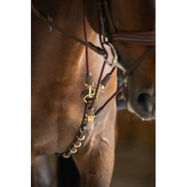 Gogue HFI Master Marron