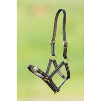 Licol cuir HFI Master Marron Licol cuir HFI Master Marron