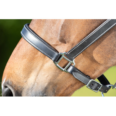 Licol cuir HFI Master cuir double réglage Noir