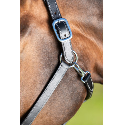 Licol cuir HFI Master cuir double réglage Noir