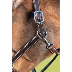 Licol cuir HFI Master cuir double réglage Marron Licol cuir HFI Master cuir double réglage Marron