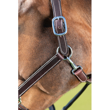 Licol cuir HFI Master cuir double réglage Licol cuir HFI Master cuir double réglage