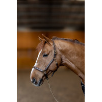 Licol cuir Little Groom HFI Master Noir