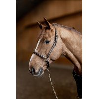 Licol cuir Little Groom HFI Master Marron