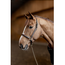 Licol cuir Little Groom HFI Master Marron Licol cuir Little Groom HFI Master Marron