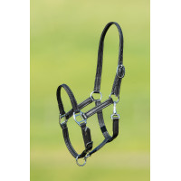 Licol en cuir souple HFI Master Noir