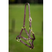 Licol en cuir souple HFI Master Marron