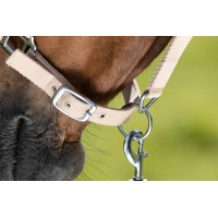 Licol First nylon HFI Master Beige Licol First nylon HFI Master Beige