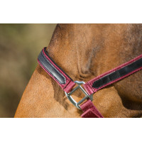 Licol First nylon HFI Master Bordeaux