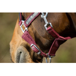 Licol First nylon HFI Master Bordeaux