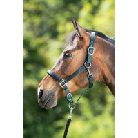 Licol First nylon HFI Master Vert foncé