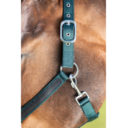 Licol First nylon HFI Master Vert foncé