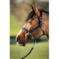 Licol First nylon HFI Master Marine Bleu marine Licol First nylon HFI Master Marine Bleu marine