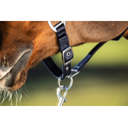 Licol First nylon HFI Master Marine Bleu marine