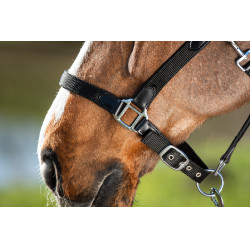 Licol néoprène Smart + longe en nylon HFI Master