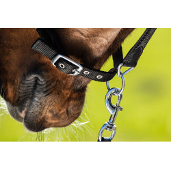 Licol néoprène Smart + longe en nylon HFI Master Noir / noir Licol néoprène Smart + longe en nylon HFI Master Noir / noir
