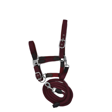 Licol néoprène Smart + longe en nylon HFI Master Licol néoprène Smart + longe en nylon HFI Master