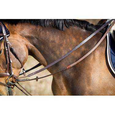 Rênes allemandes cuir + corde HFI Master Rênes allemandes cuir + corde HFI Master