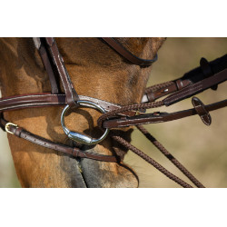Rênes allemandes cuir + corde HFI Master Marron